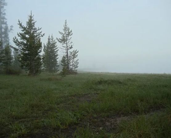 Grebe Lake 4G2