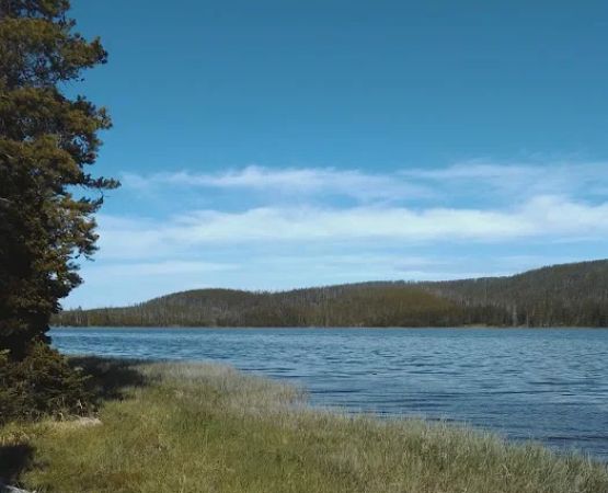 Grebe Lake 4G5