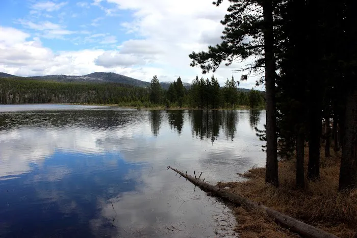 Wolf Lake 4G7 5