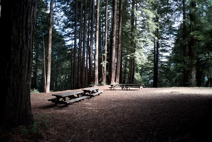 Arrowhead Group Campsite 0