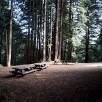 Arrowhead Group Campsite