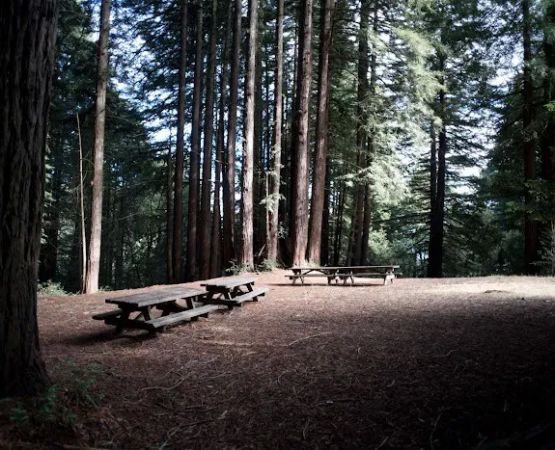 Arrowhead Group Campsite