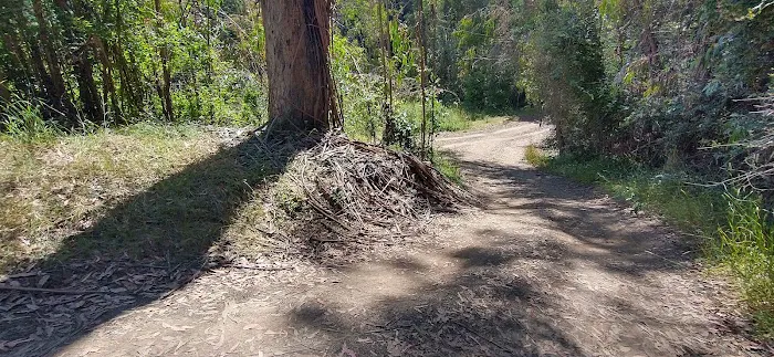 Arrowhead Group Campsite 8