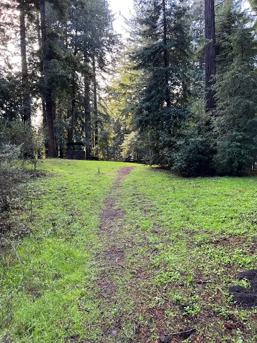 Arrowhead Group Campsite 9