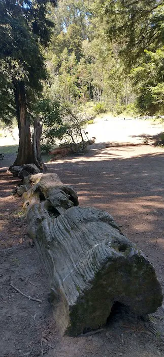 Arrowhead Group Campsite 4