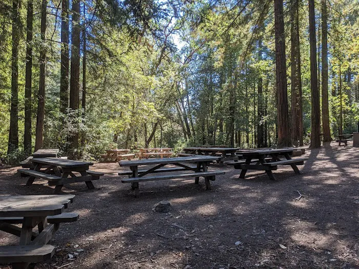 Manzanita Group Campsite 7