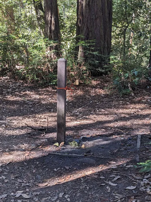 Manzanita Group Campsite 5