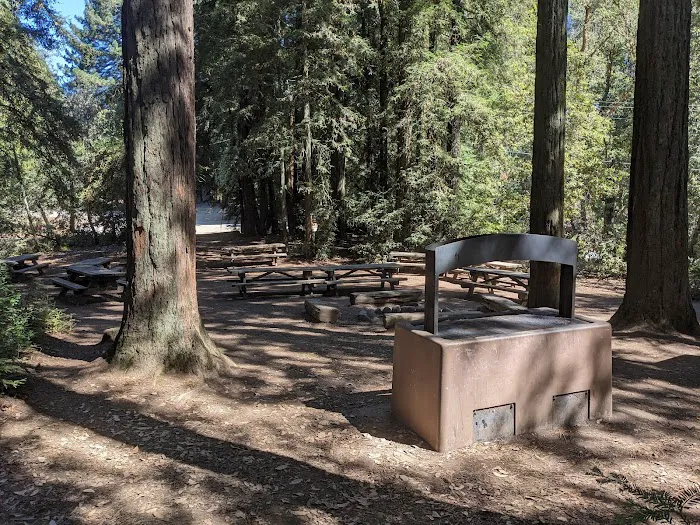 Manzanita Group Campsite 2
