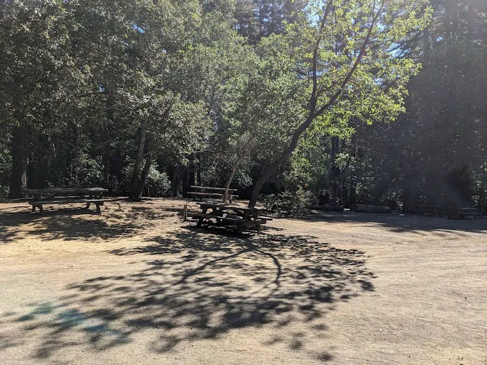 Manzanita Group Campsite 9