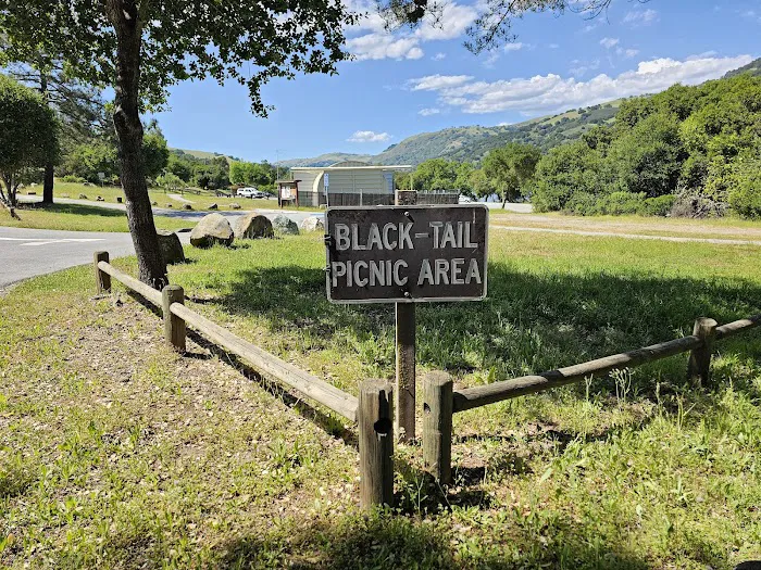 Black Tail group camp site 1