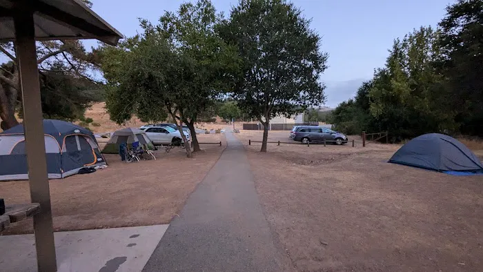 Black Tail group camp site 2