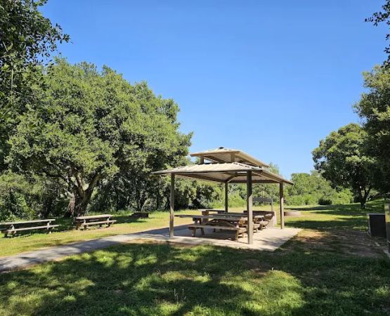 Black Tail group camp site