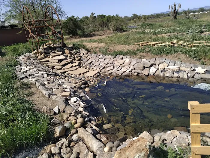 Pacheco Creek Gardens 2