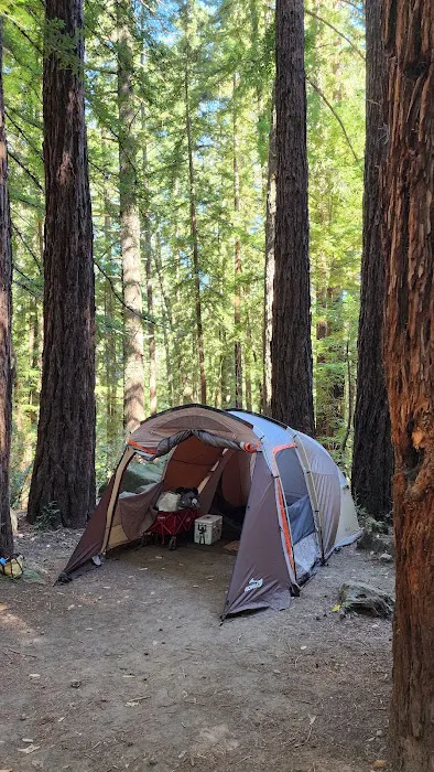 Sanborn Walk-in 1