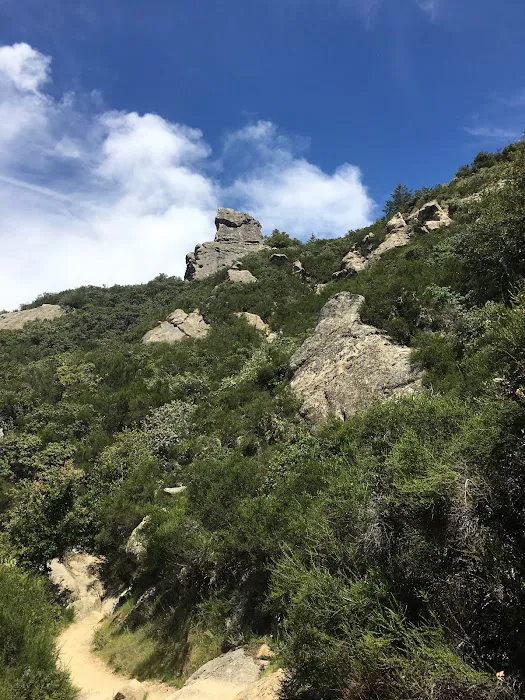Castle Rock Trail Camp 5