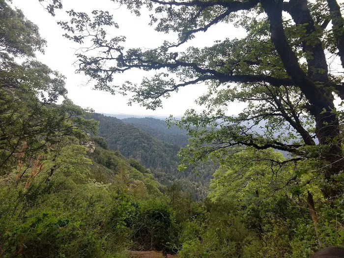 Castle Rock Trail Camp 2