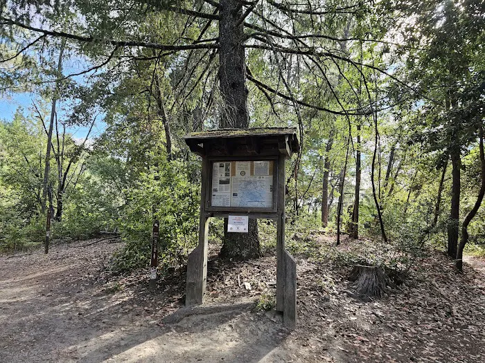 Castle Rock Trail Camp 4