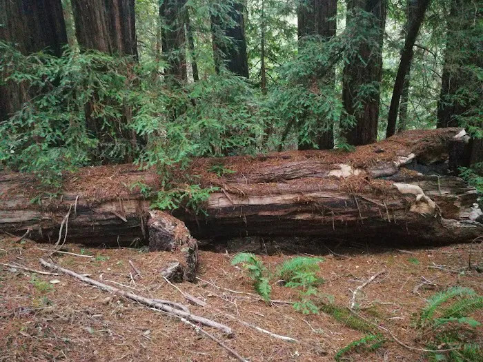 Waterman Gap Trail Camp 7