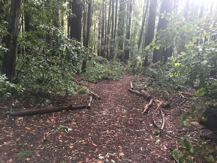 Slate Creek Trail Campground 3