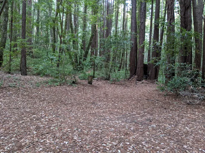 Slate Creek Trail Campground 5
