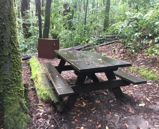 Slate Creek Trail Campground