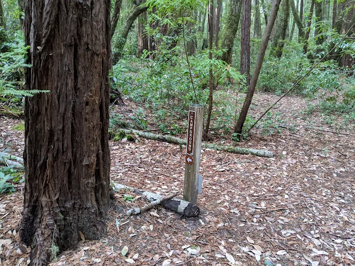 Slate Creek Trail Campground 6