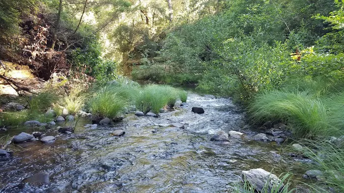 Point Group Camp, Portola Redwoods State Park 2