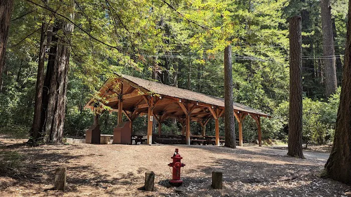 Point Group Camp, Portola Redwoods State Park 1