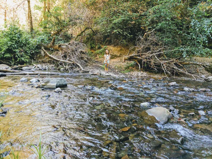 Point Group Camp, Portola Redwoods State Park 9
