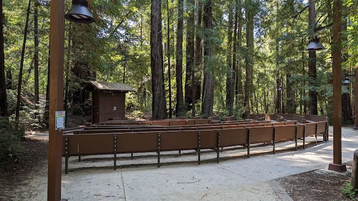 Point Group Camp, Portola Redwoods State Park 0