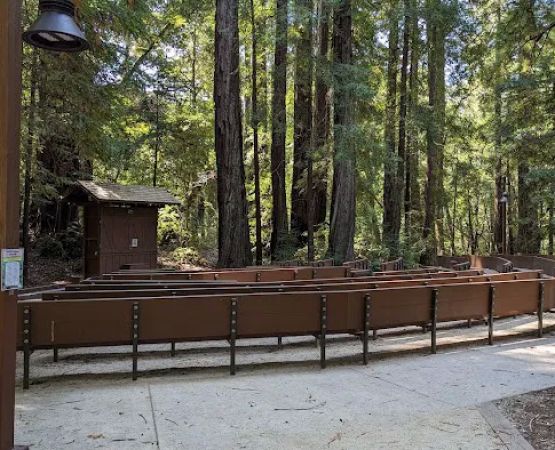 Point Group Camp, Portola Redwoods State Park