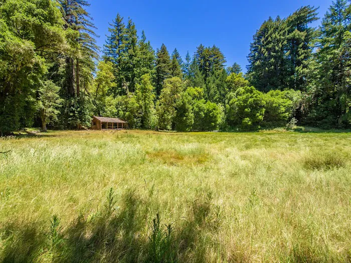 Sky Meadow Group Camp 6