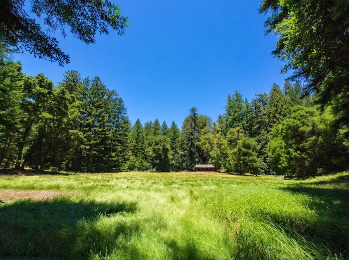 Sky Meadow Group Camp 2