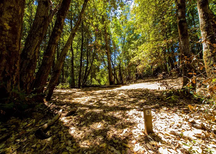 Lane Trail Camp 4