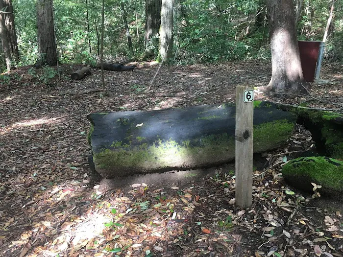 Lane Trail Camp 1