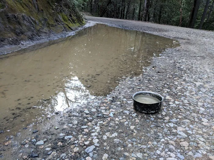 Lane Trail Camp 7