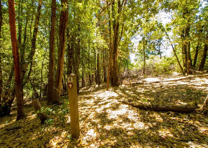 Lane Trail Camp 3