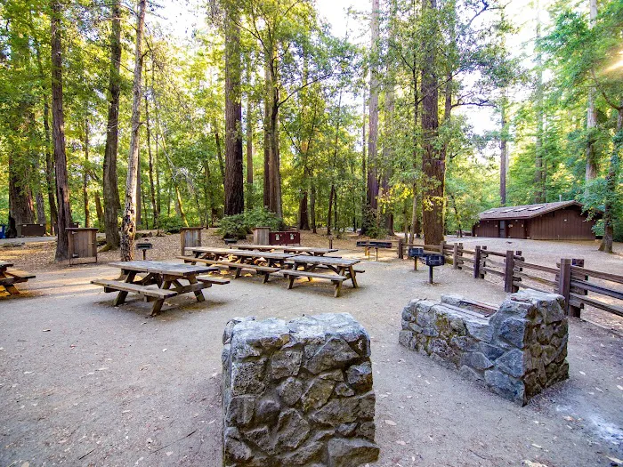 Sequoia Group Camp 8