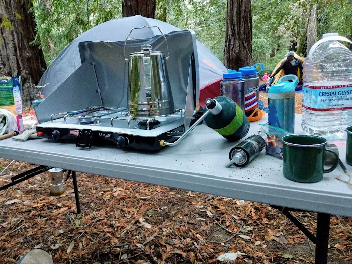Sequoia Group Camp 9