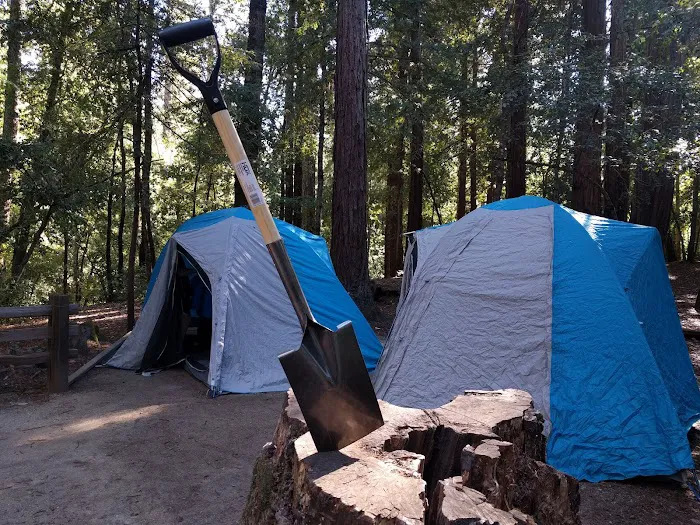 Sequoia Group Camp 5