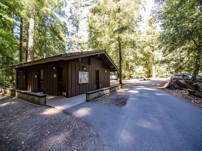 Sequoia Group Camp 4