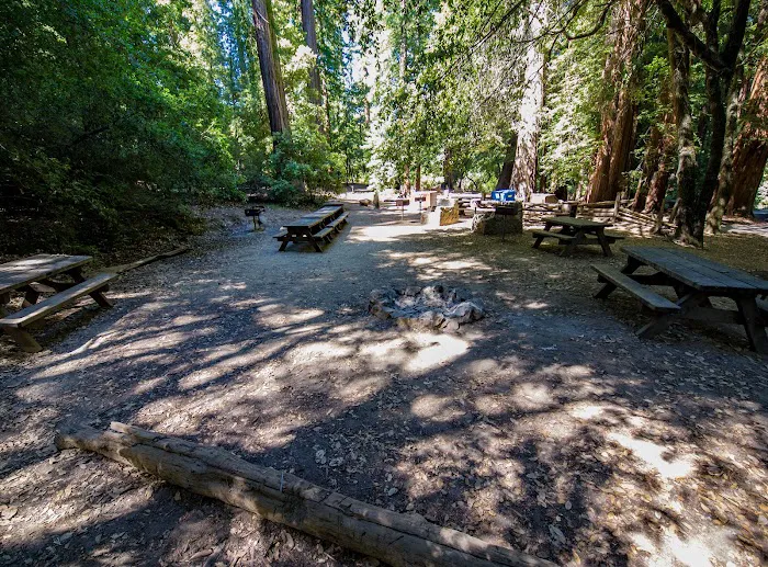 Sequoia Group Camp 3
