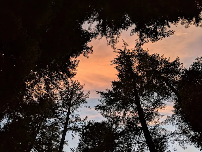 Blooms Creek Campground 9