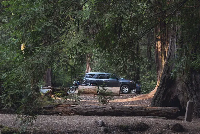 Blooms Creek Campground 0