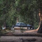 Blooms Creek Campground