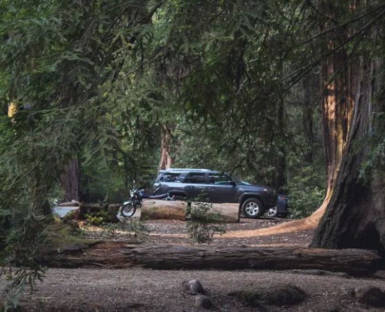 Blooms Creek Campground