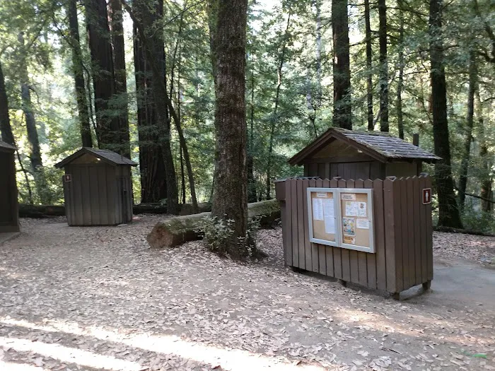 Blooms Creek Campground 6