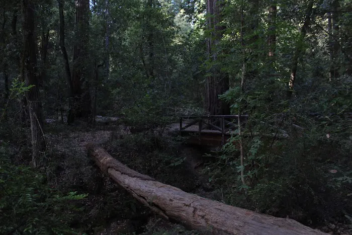 Blooms Creek Campground 3