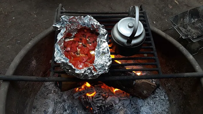 Blooms Creek Campground 1