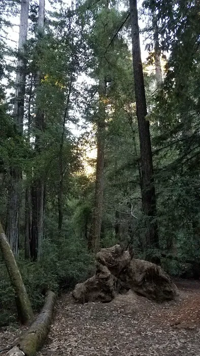 Jay Trail Camp 3